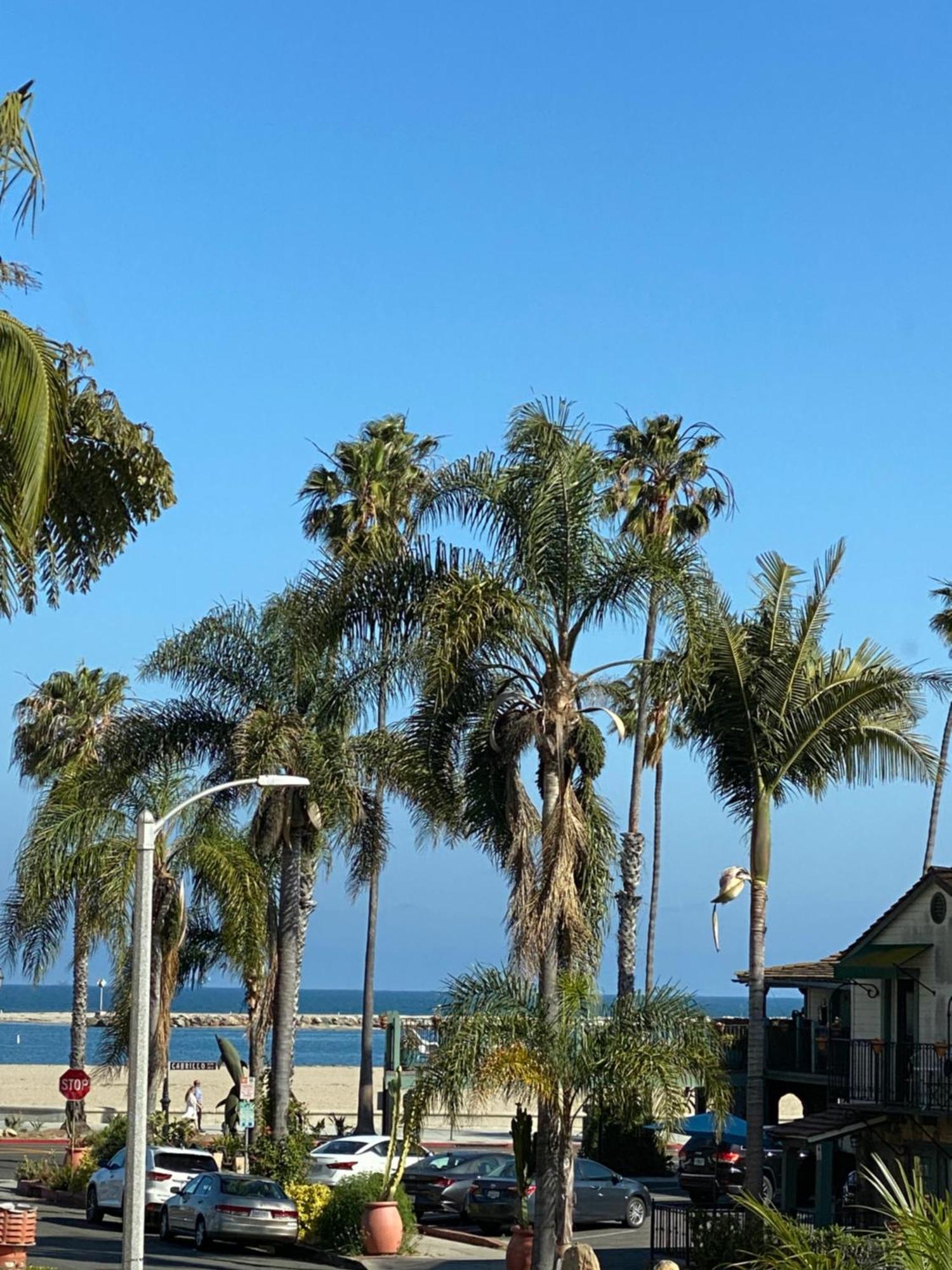 סנטה ברברה Tide Pool Villas מראה חיצוני תמונה